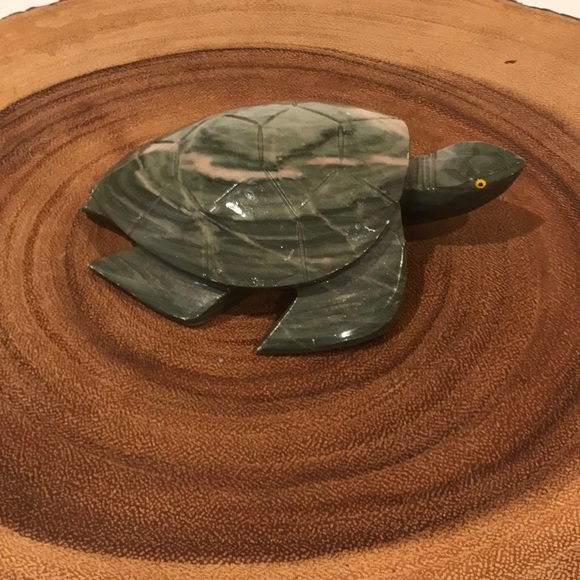 Other - Marble green sea turtle